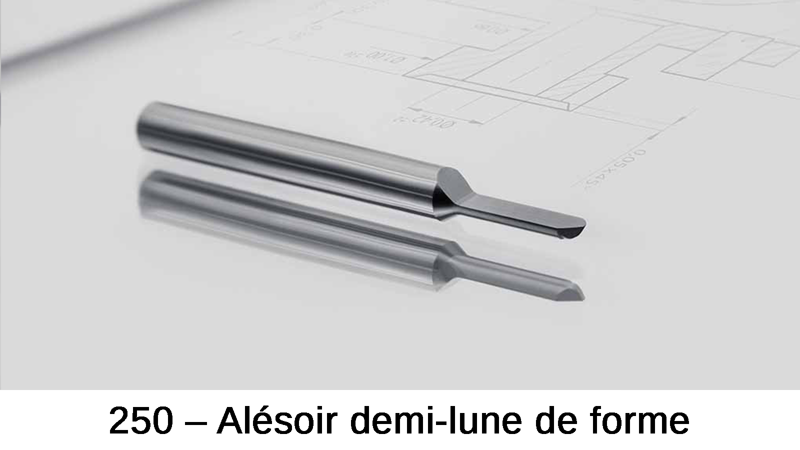 Delmeco